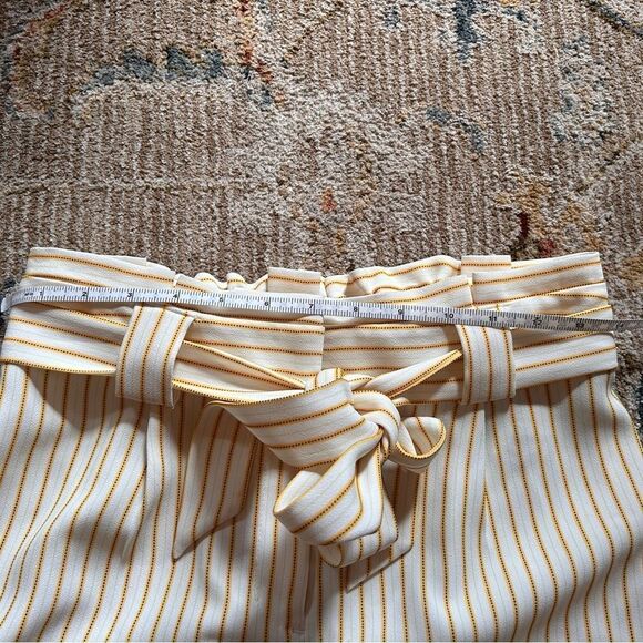 Express yellow Striped Wide Leg Pants - Picture 7 of 9